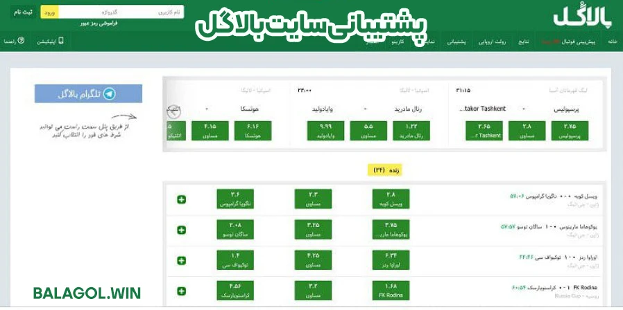 پشتیبانی سایت بالاگل